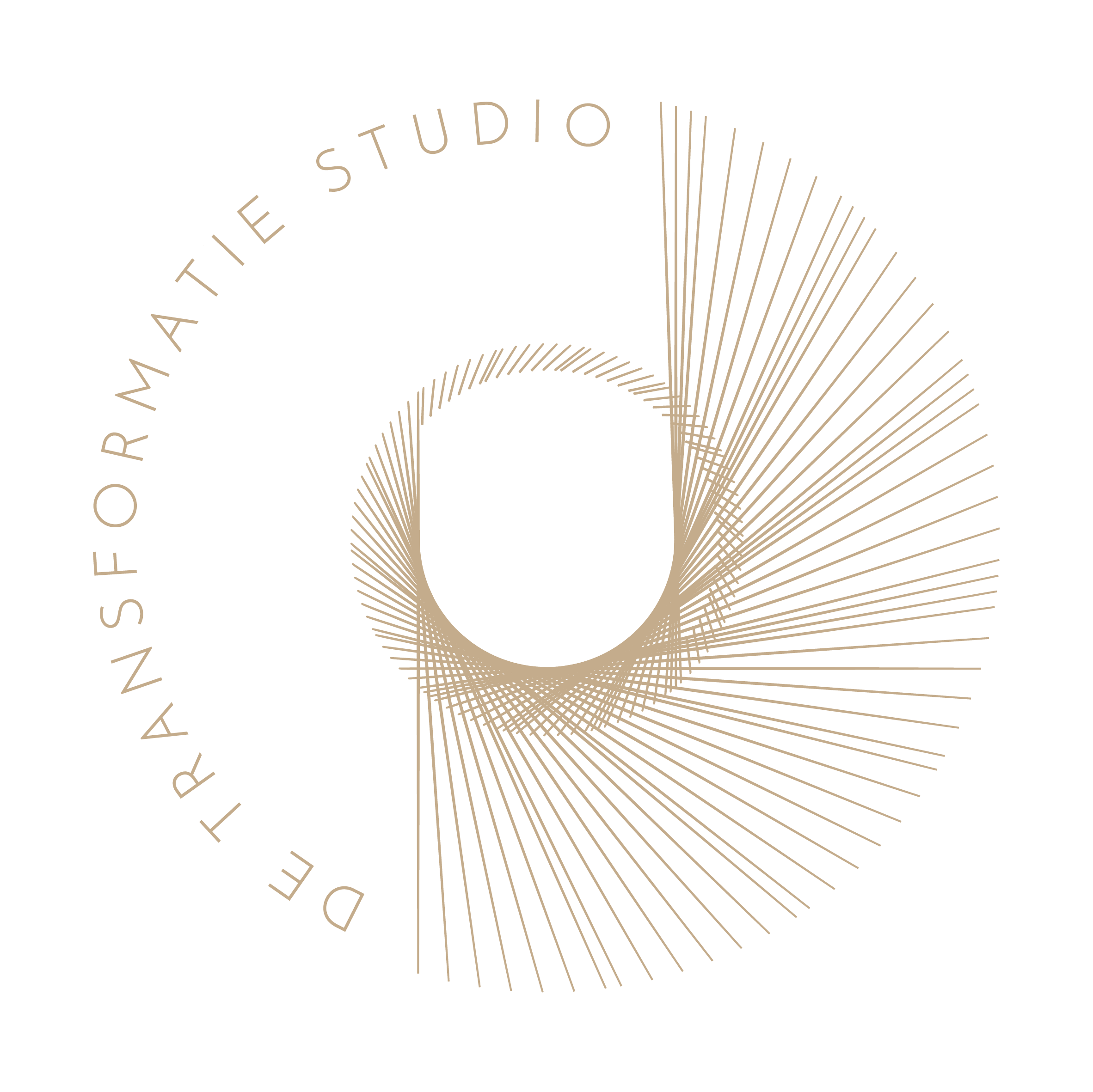 De Transformatie Studio